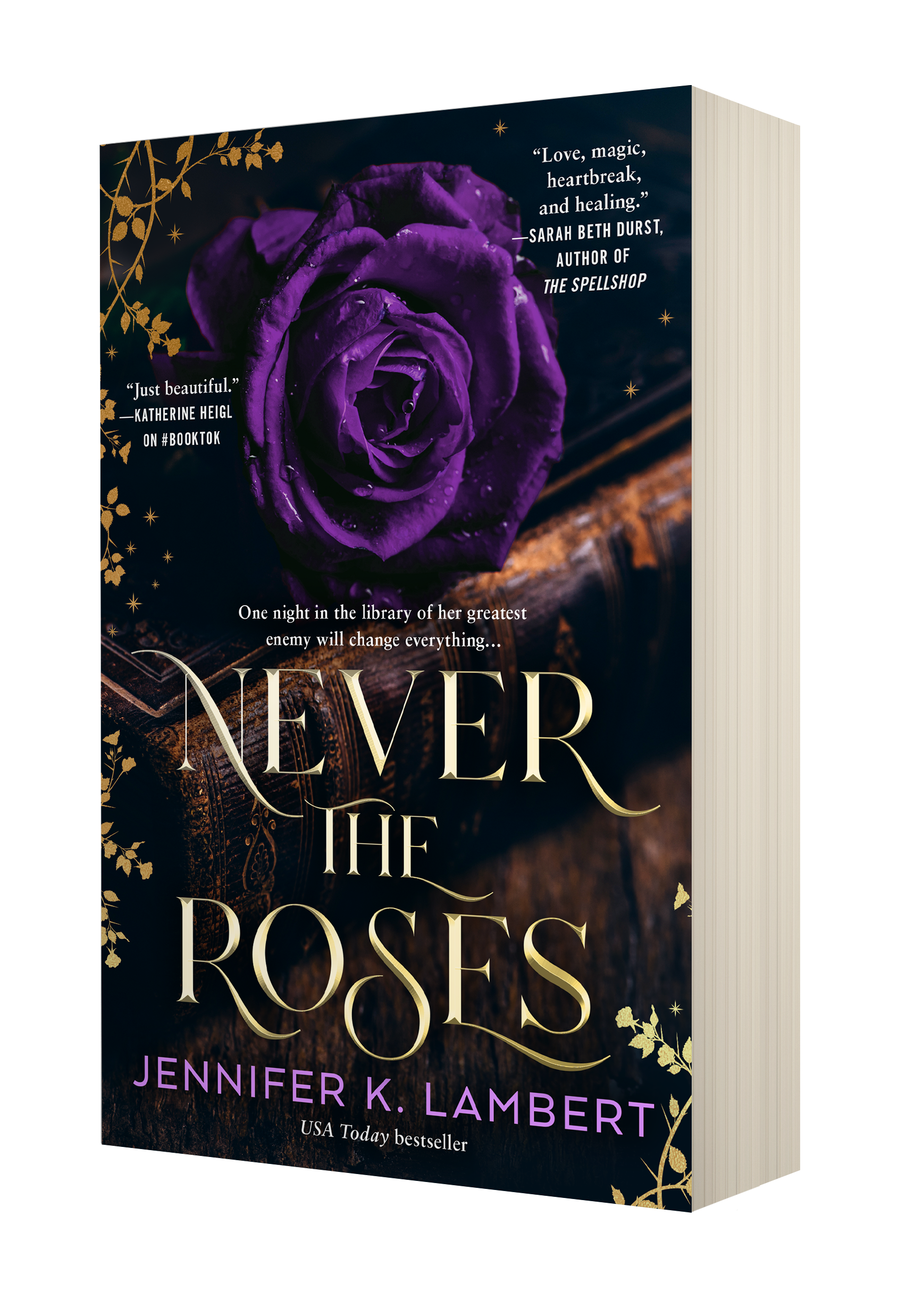 Never the Roses Paperback